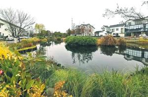 Jin Hua Village, Zhangpu Town, Kunshan