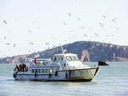 Island Tour