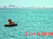 White Dolphins Appear for Six Consecutive Days; Observer Says It's the First Time Since Xiaojie Monitoring Station Established