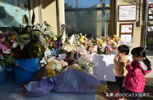 Japan’s Oldest Lion Dies, Equivalent to Over 100 Human Years, Visitors Pay Tribute