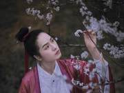 Flying Swallows Cut Spring Pear Blossoms