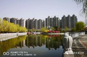Fairyland in the East Suburb