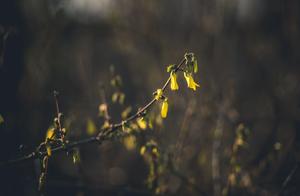 North Star Wetland Park Photography