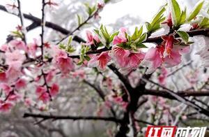 Nanya Scenic Area: ‘Precision Measures’ Ensuring Safety and Promoting ‘Production’
