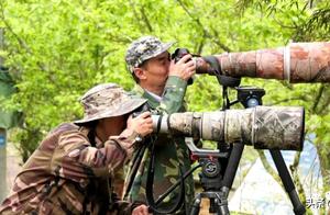 Longchang, Fujian: Ecological Restoration – Transforming Migratory Birds into Resident Birds