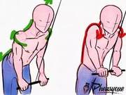 Most Detailed Exercise Correction Illustration