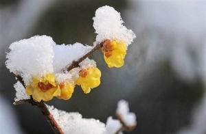 The meaning of life is the days spent struggling against hardship, not the enjoyment after success. Why?