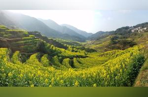 Wuyuan Spring Blooms and Golden Ancient Charm: Wuyuan Travel Guide