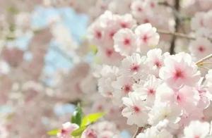 Choose the Most Gentle Affairs, Interpret a Perilous Life