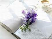 Write a piece every day, stick to it for 21 days! Please everyone supervise Xiao Ge