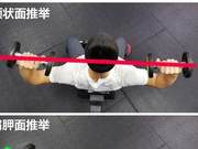 Increase Muscle Mass: Understand the Scapular Plane and Make Your Shoulder Training Safer
