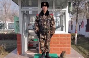 Are Only Military Dogs, No Military Cats? Stray Cats Join the Army and Are Exceptionally Accepted