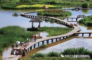 Green Home in the Heart of Kunming Dounan Wetland Park