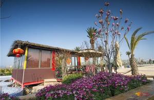 Flower Viewing Cycling Camping Picking Fruit - Experiencing Spring in Shishan Lion Mountain