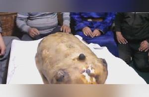 The ‘Big Pocket’ on the Sichuan-Tibet Highway Cut Open Reveals a Lot of Stones, 1200 Worth