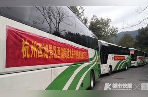 Today, 26 Buses Depart from Longjing Village, Hangzhou...