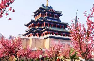 Beautiful! Xian City in Spring - Half the City is Flowers!