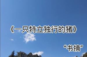 Motivational Excerpt: Wang Xiao Bo's "One Lone Pig"
