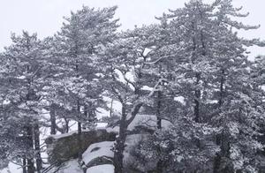 Snowfall on Mount Hua, Stunning the World~