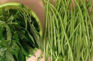 If You Can't Finish This Vegetable, Throw It in a Flower Pot – It Will Grow and Grow!