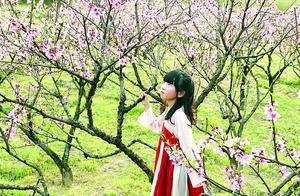 Wuyishan City Integrates Beautiful Rural Area Construction with Rural Tourism to Promote Rural Tourism and Enhance Rural Living Environment