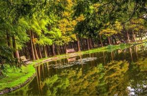 A Very Beautiful Park in Beijing: Scenic, Worthless (No Ticket Fee), and Requires Booking
