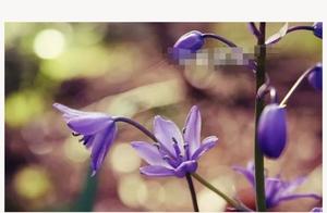 Sincerity, Not Schemes: True Hearts Will Reveal Themselves Over Time