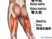 The Benefits of Single-Leg Training Are So Many, Yet You Might Be Ignoring These Details?