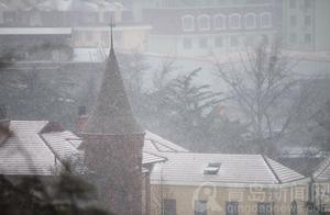 First Release: Snow Falls on Qingdao in the Early Morning; Mist, Snow, and Rain Create a Vastly Blurred World