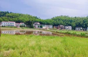 Is it the countryside in your memory? The rural scenery is infinitely beautiful.
