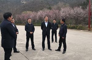 Li Zhiyuan Inspects Scenic Area Construction and Forest Fire Prevention Work in Zorro Scenic Area