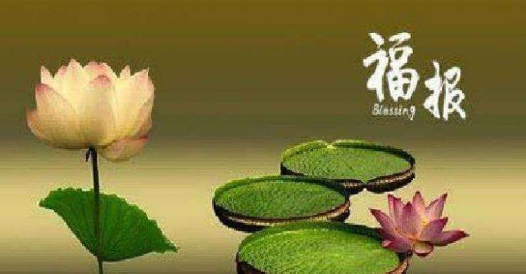 "积善之家,必有余庆:一个人的福报,是自己用德行修来的