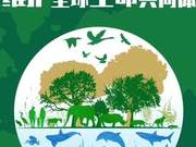 World Wildlife Day: China’s Endangered Species Populations Show Overall Stability and Growth