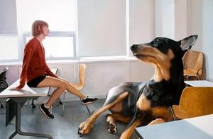 How Can It Be That the Dog in This Painting Is So Big? This Is Probably the Special Emotion and Significance Between Humans and Pets.
