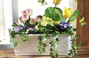 Psychology: Which potted plant do you think is the most beautiful? Taking this quiz will give you an enviable marriage.
