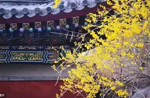 Notice Regarding Opening Hours and Ticket Prices for the Peak Season at Shichang Park