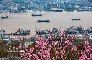 Ningbo Xiangshan: Fishing Port Spring Flood