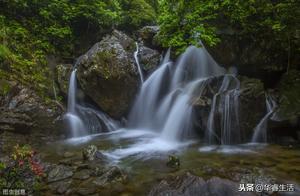 Hiking in the Countryside, Finding Rare and Unusual Stones - Even Baidu Doesn't Recognize Them!