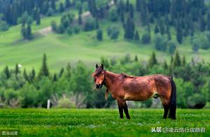 Poetry and Distance, Dreams of the Prairie – Karashu!