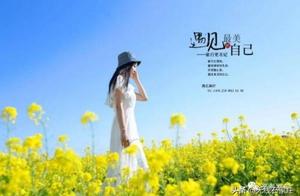 Lingshou Smooth Bright Immortal Peach Valley: A Patch of Golden Rapeseed Flowers, A Blaze of Peach Blossom Paradise