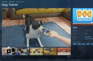 Raise Dogs? 'Dog Trainer' Simulator Launches on Steam with Chinese Support