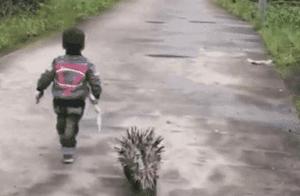 The Coolest Kid Brings a 'Mythical Beast' to School; Internet Users Say: 'Can't Afford It!'