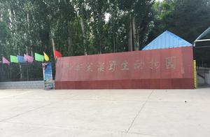 Wuyi Shenzhou Desert Wildlife Park