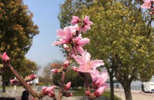 If we wait for a favorable wind, we must not waste the spring or neglect our beloved.
