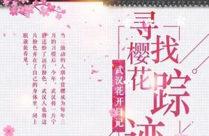 Wuhan Cherry Blossom Diary | Cherry Blossom Rain in Northwest Lake, a Promise to View Cherry Blossoms Next Year