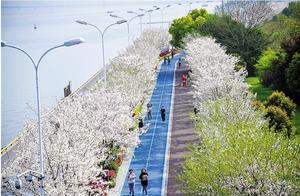 Run Towards the Spring Breeze
