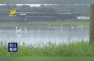 Two Bases in Yangjiang Designated as Provincial Leisure Agriculture and Rural Tourism Demonstration Points