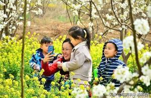 Xingtai Qixing District's Most Beautiful Flower Viewing Routes! Spring has arrived, don't miss these beautiful views!