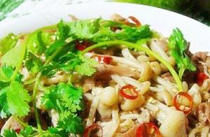 Food Recommendations: Stir-fried Lamb with Enoki Mushrooms, Shrimp Egg Custard, and Pumpkin Cream Pie Recipes