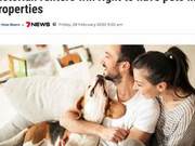 Stray Dogs: Landlord Restrictions Force Tenants to Abandon Pets